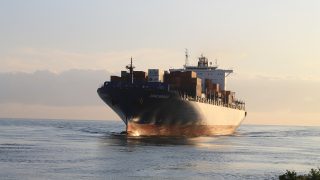 WTO outlines food security actions in annual report