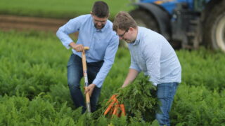 M&S joins Armagh vegetable grower to boost pollinator activity