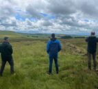 NI: Investigation launched into poisoning of 2 white-tailed eagles