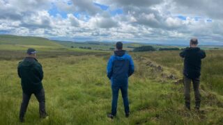 NI: Investigation launched into poisoning of 2 white-tailed eagles