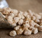 New chickpea breeding and research programme in the UK