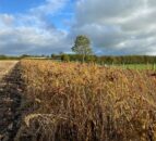 CAFRE creates online tool to assess habitat scores on farms