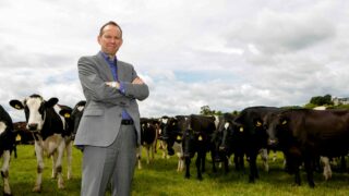 NI milk prices may strengthen later in the year – Whelan