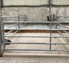 Time to get calf sheds cleaned and disinfected