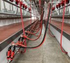 Gap in milk price ‘unsustainable’ – UFU