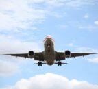 DAERA: Do not bring animal or plant products home from holidays