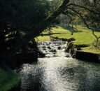 Unlimited penalties for polluters under new legislation