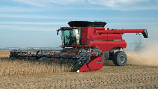 US maize and soyabean output projections increased