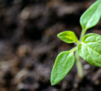 Origin Enterprises acquires UK-based landscape supplier