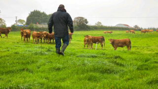 More needs to be done for farmers amid ‘cashflow crisis’ – NFU