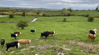 51% rise in rural crime in NI ‘disappointing’ – UFU