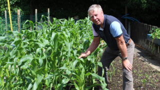 Donaghmore Horticultural Community hoping to expand