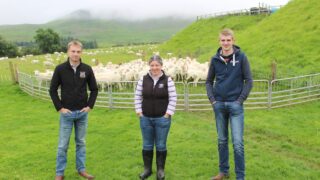 Genomics will ‘revolutionise’ performance in sheep sector