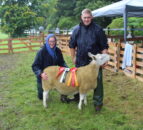 Record turnout of sheep at Fermanagh Show
