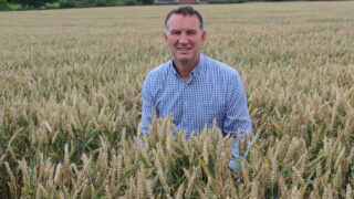 Arable update: Barley yields disappointing in Northern Ireland