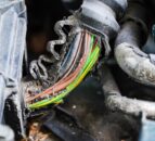Farmers urged to protect machinery from rodent damage