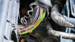 Farmers urged to protect machinery from rodent damage