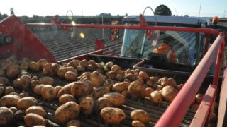Morrisons launches trial to cover 100% of growers’ costs