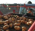 Morrisons commits £1.6bn to British farming for 2026