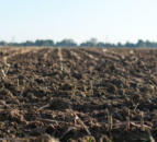 UFU worried about farmers meeting soil health scheme deadline