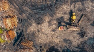 Brazil and 7 other Amazon nations agree anti-deforestation pledge