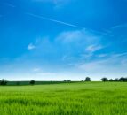 Price of agri-land in England and Wales hits an 'all-time high'