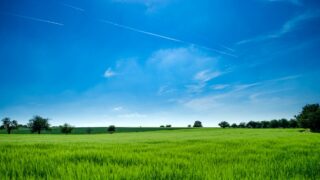 Farm organisations urge NI farmers to give views on carbon budget