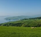 DAERA seeks public input on NI emissions targets