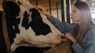 Agriculture has the third highest rate of self-employed women – report