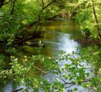 Manure management plan for River Wye will 'lead to problems elsewhere'