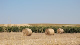3 boys ‘deliberately’ set bales alight in Staffordshire – police