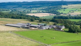 GSC Grays brings 1,800ac livestock farm to the market