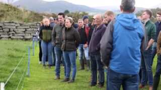 Ulster Grassland Society hosts Down farm walk