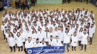 Record number of young competitors set for this year’s English Winter Fair
