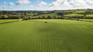 Using satellite data to enhance global food security