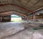 Galbraith brings Whitlaw Farm on 107ha to the market