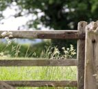 5 things farmers should consider before holiday letting