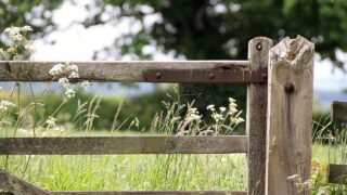 ‘Housing is needed for Welsh farming families’ – Roger Parry & Partners