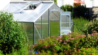 Tomtech supplies greenhouse motors for veterans to grow crops