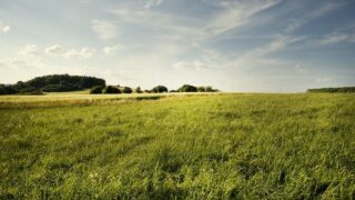 UFU partners with AFBI and AgriSearch for NI farming webinars