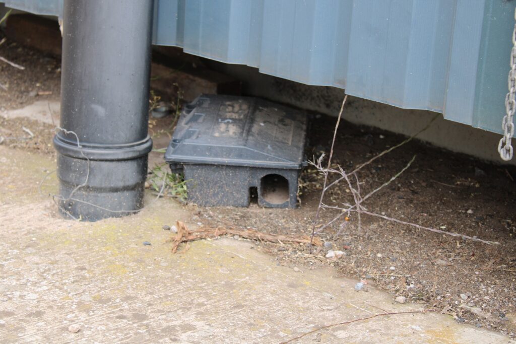 Rodents on farm