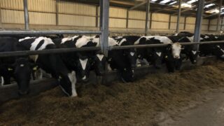 John Deere and DeLaval create joint Milk Sustainability Center