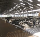 Farmers urged to secure winter bedding supplies amid sawdust shortage