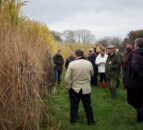 Yorkshire miscanthus farm walk to discuss SFI payments