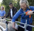 Rishi Sunak visits agri students at Writtle University College