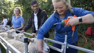 Rishi Sunak visits agri students at Writtle University College