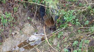 Dairy farmer ordered to pay over £2k after slurry entered brook