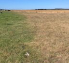 Australian farmers fear ‘dud’ trade deal with EU