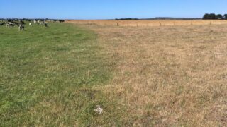 Australian farmers fear ‘dud’ trade deal with EU