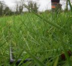 Dairy advice: Time to review herbage production